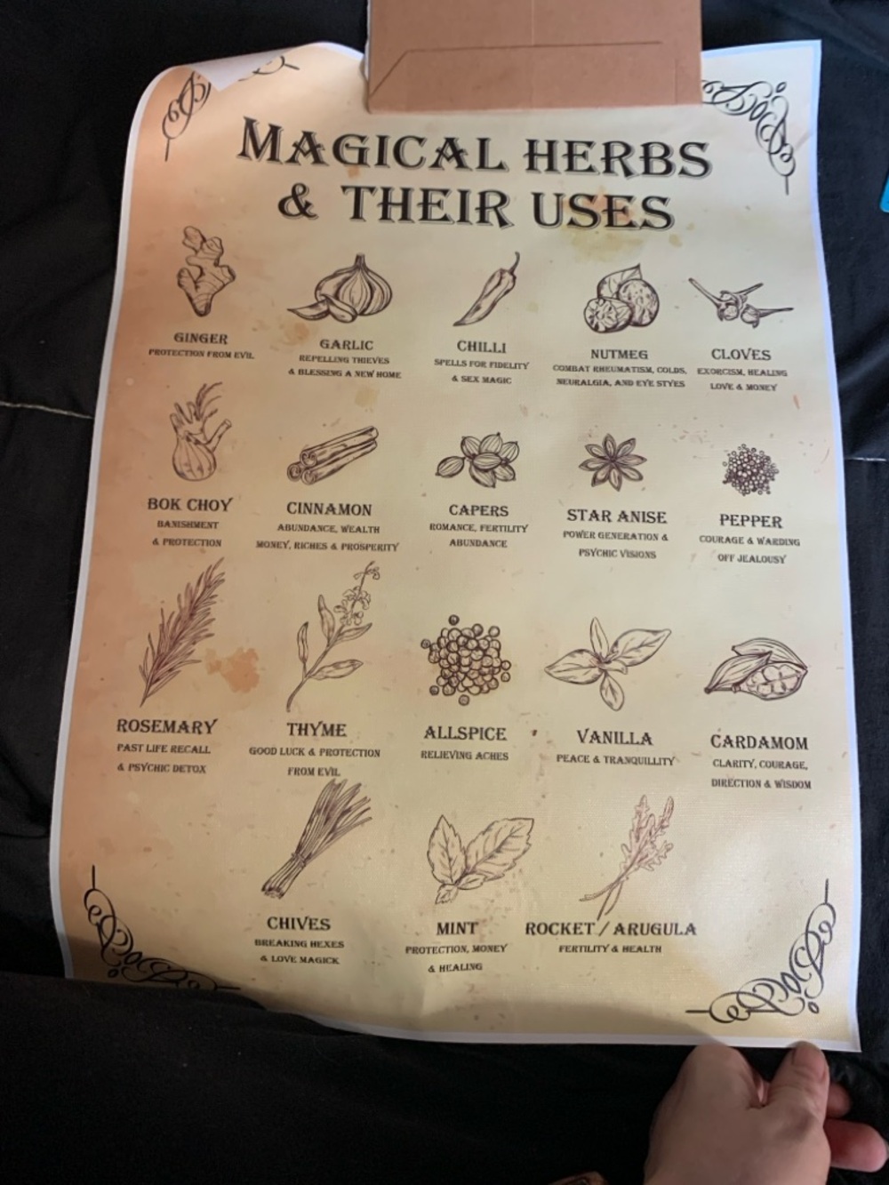 Magical Herbs & Their Uses Poster Witchy Kitchen Wall Art 11.8x16.5”